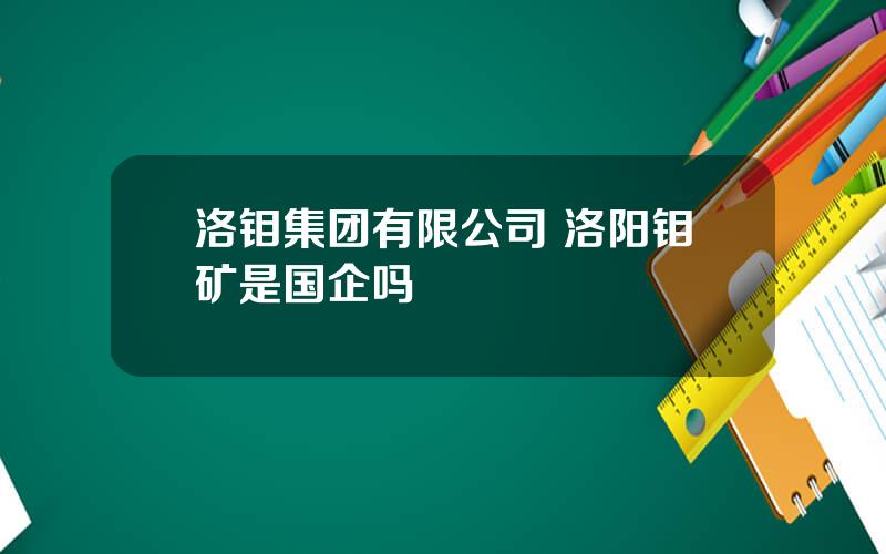 洛钼集团有限公司 洛阳钼矿是国企吗